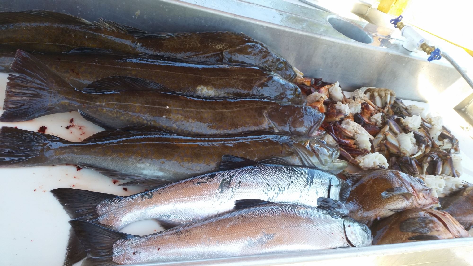 Plenty of salmon, lingcod, and crabs to enjoy