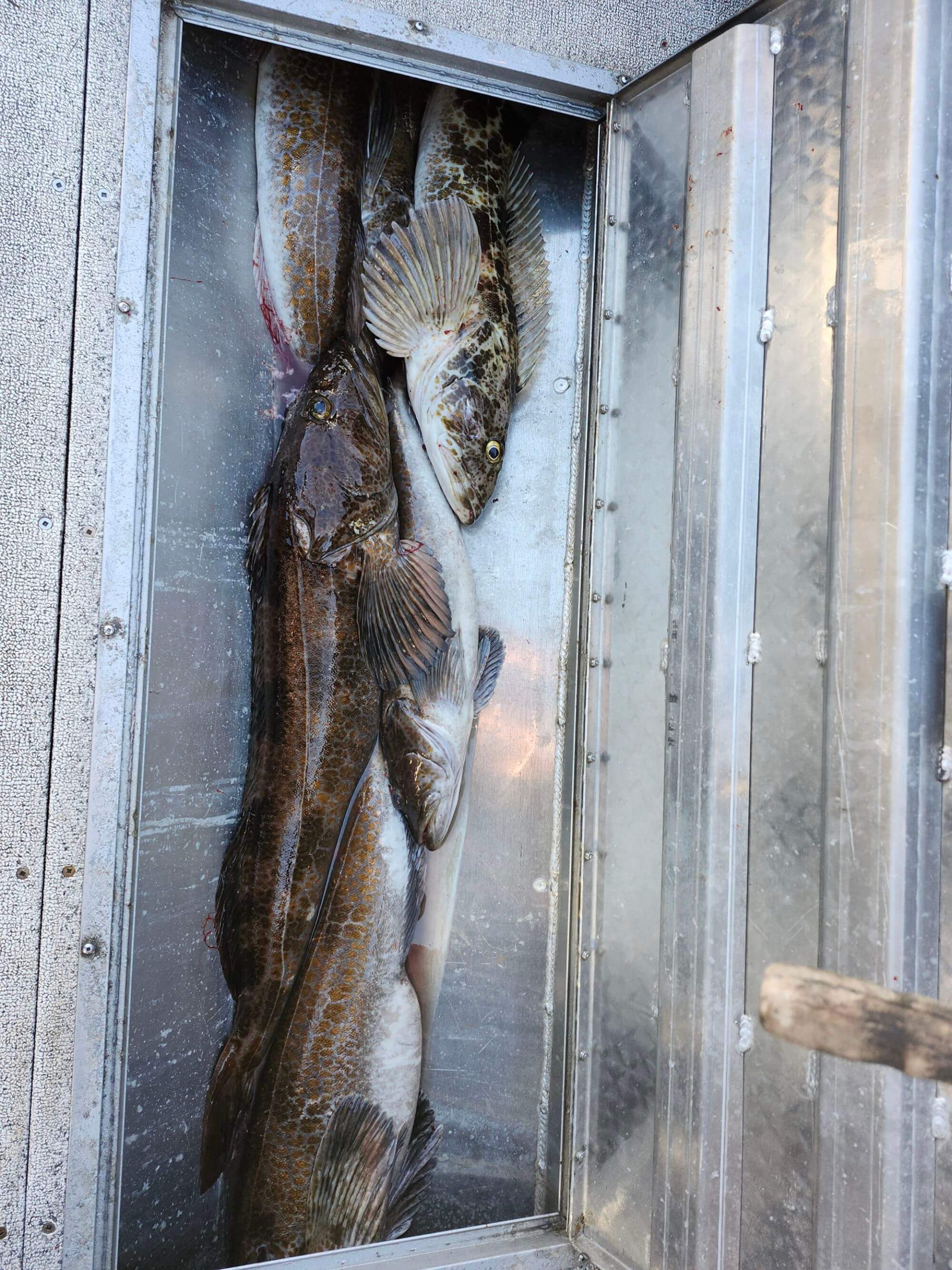 Fully stocked with fish!